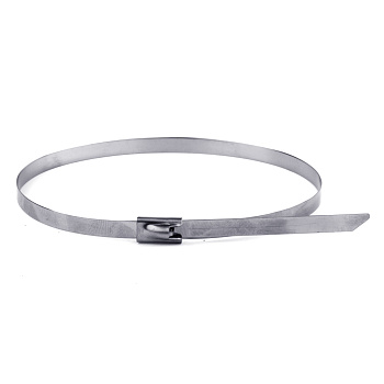 Хомут из нержавеющей стали AISI 304 4,6х300 мм